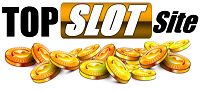 top slot site master--last version-bronze-100pc-trans190