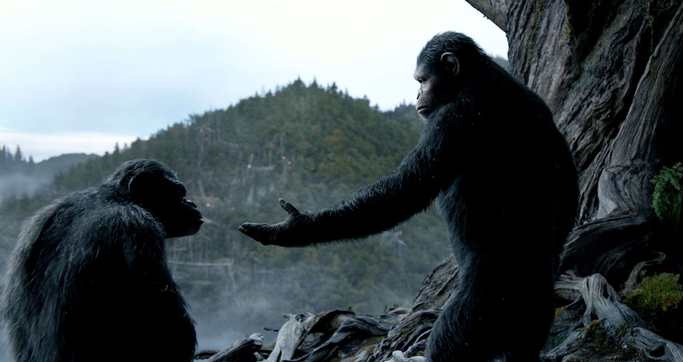 War For The Planet Of The Apes Is An Exciting End To A Phenomenal Trilogy - Planet of the Apes 3 Online