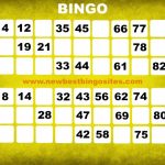 Top 10 Bingo Sites Compare By Bonus Payout Wagering Software - Top Ten Bingo Sites Online