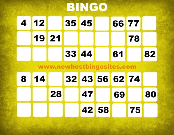 Top 10 Bingo Sites Compare By Bonus Payout Wagering Software - Top Ten Bingo Sites Online
